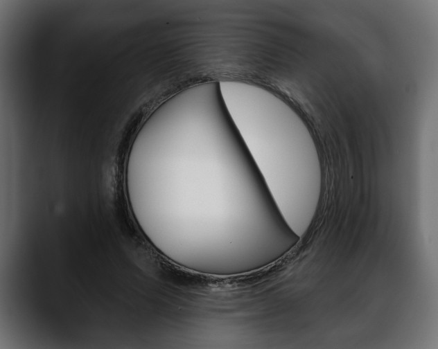 X0000088650591200705250943