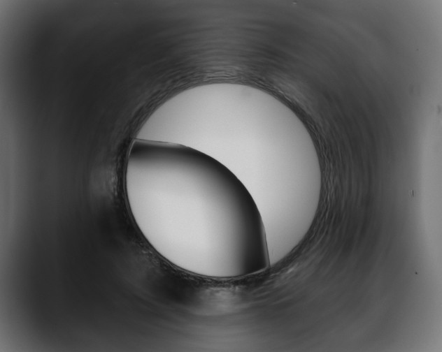 X0000088650595200705250943