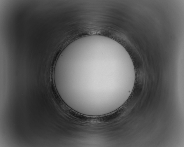 X0000088650598200705250943