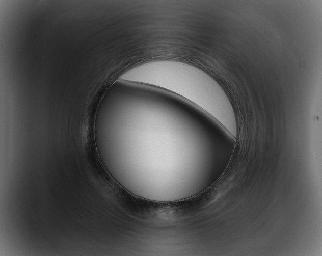 X0000088650600200705250943