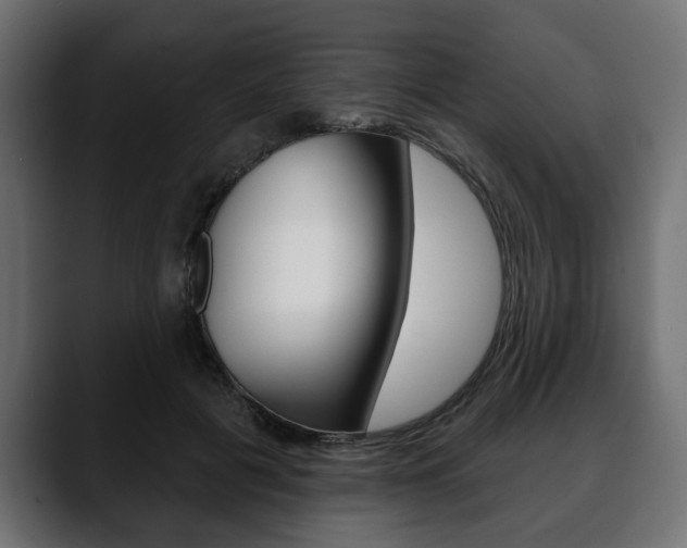 X0000088650601200705250943