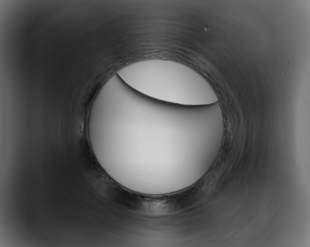 X0000088650602200705250943