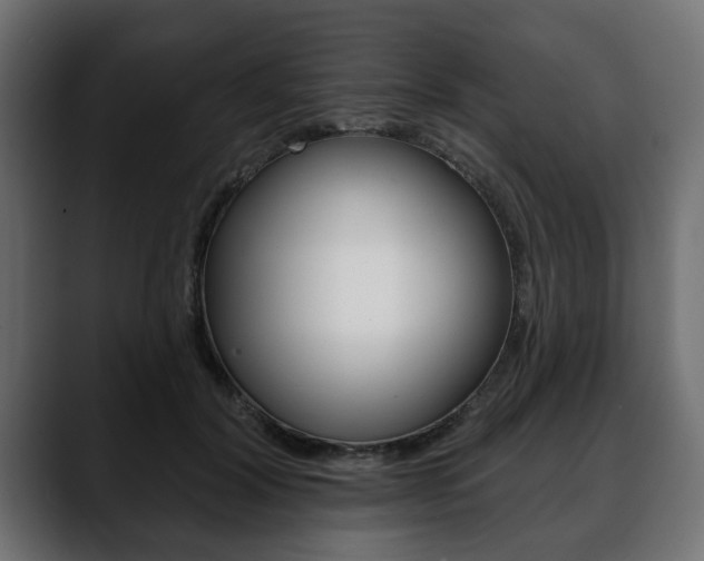 X0000088650604200705250943