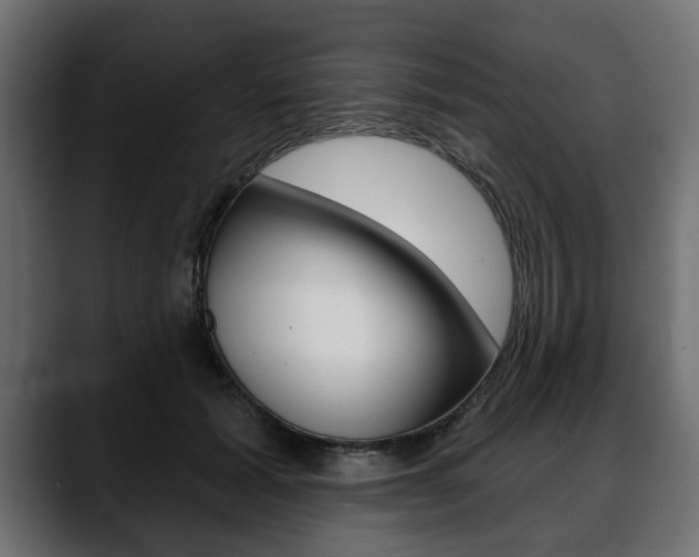 X0000088650605200705250943