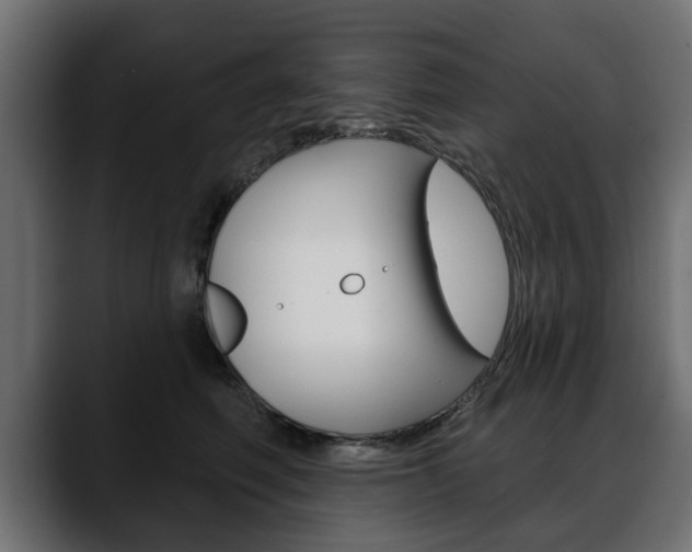 X0000088650614200705250943
