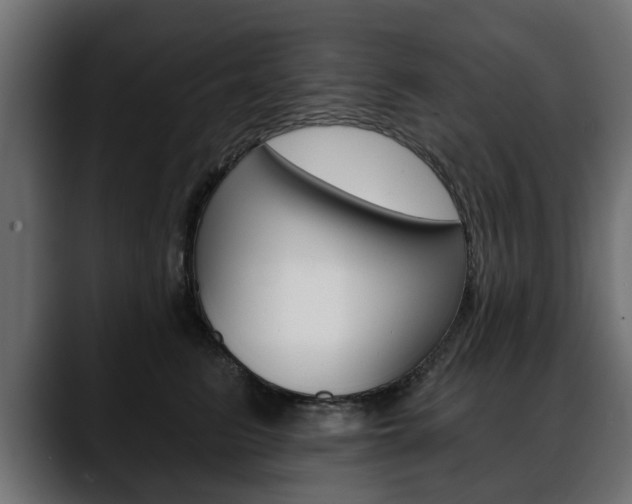 X0000088650615200705250943