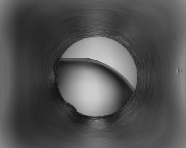 X0000088650617200705250943