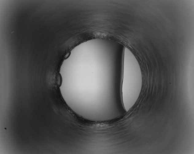 X0000088650619200705250943