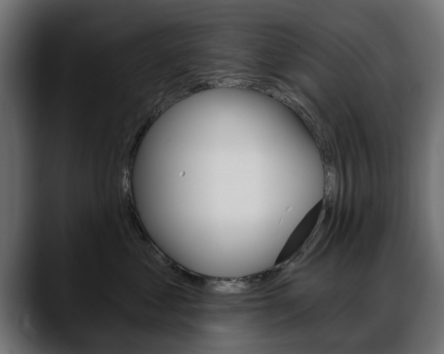 X0000088650621200705250943