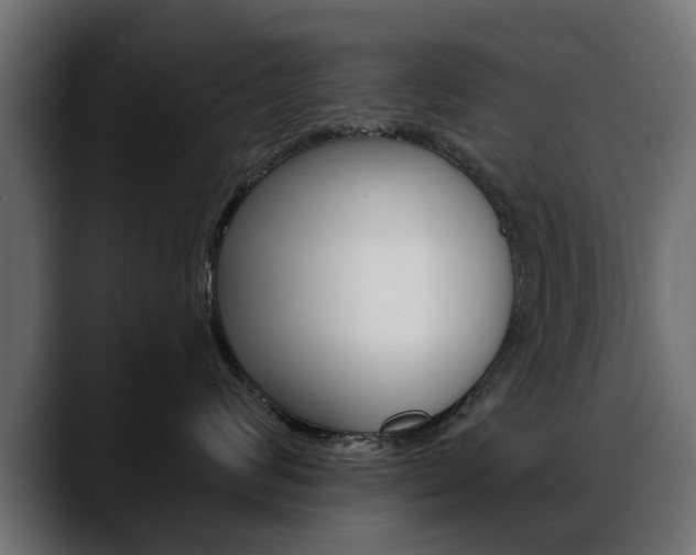 X0000088650624200705250943