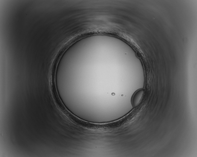 X0000088650629200705250942