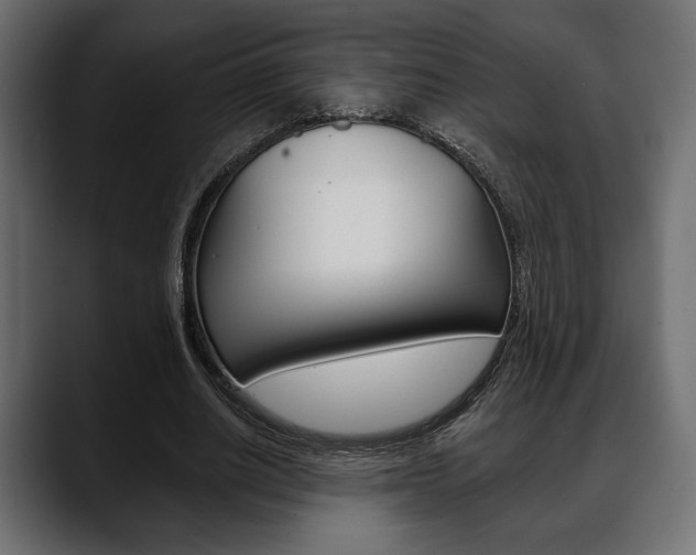 X0000088650630200705250942