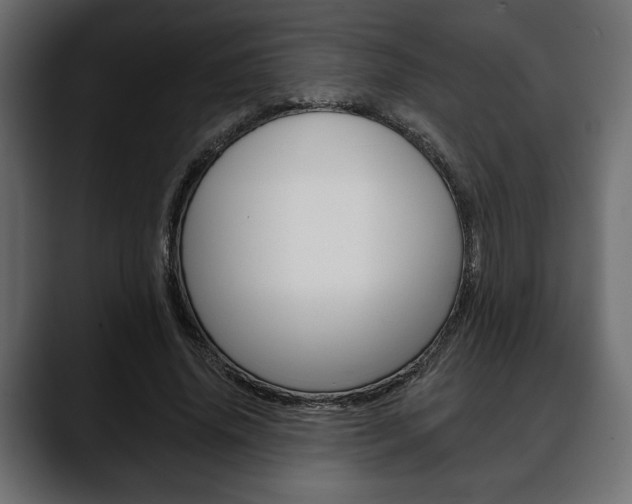 X0000088650636200705250942