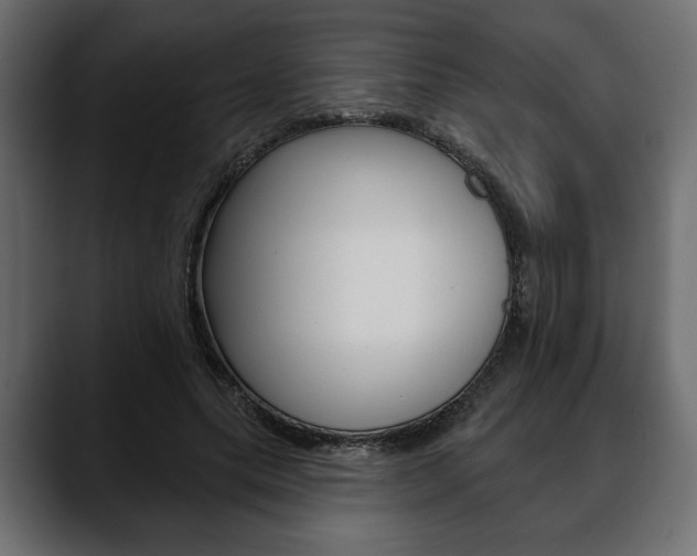 X0000088650639200705250942