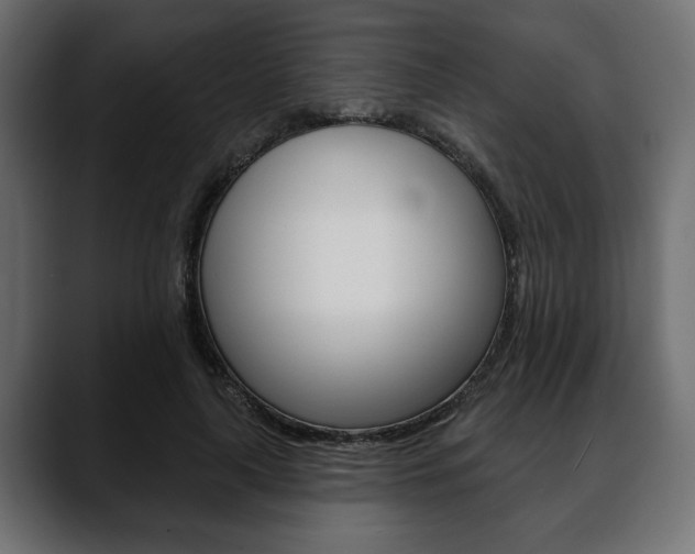 X0000088650643200705250942