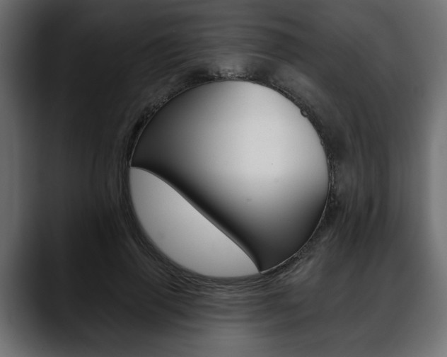 X0000088650645200705250942