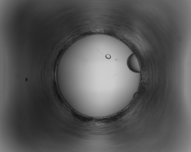 X0000088650648200705250943