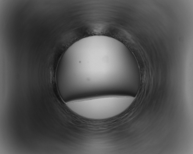 X0000088650651200705250943