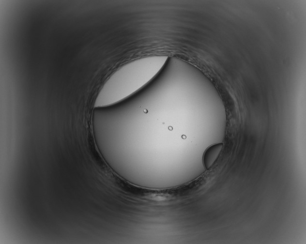 X0000088650654200705250943
