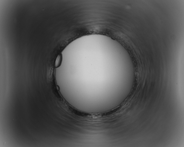 X0000088650660200705250943