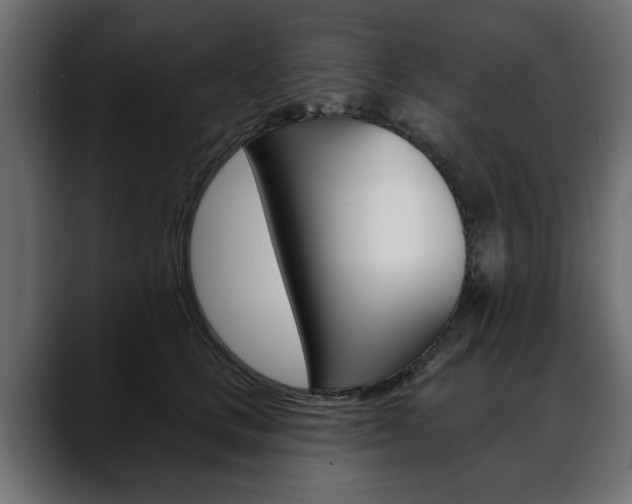 X0000088650661200705250943