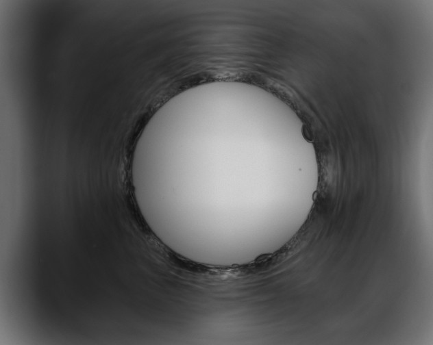 X0000088650667200705250943