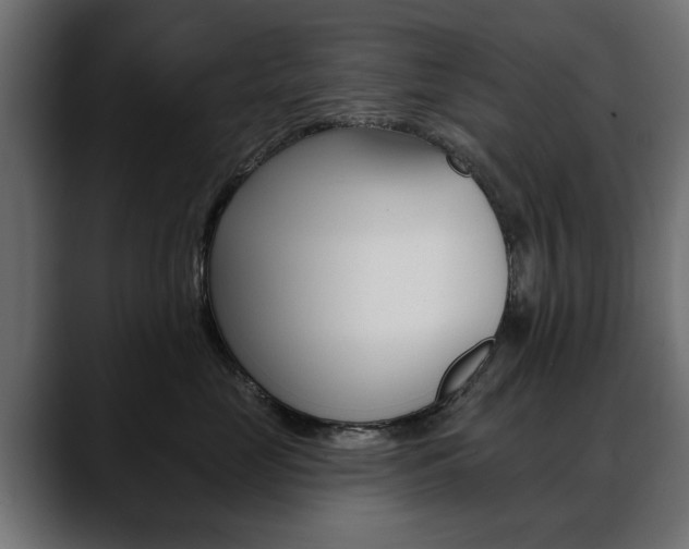 X0000088650669200705250943