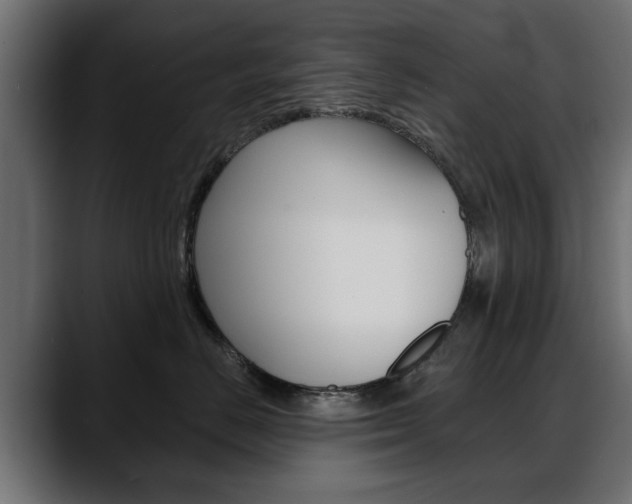 X0000088650670200705250943