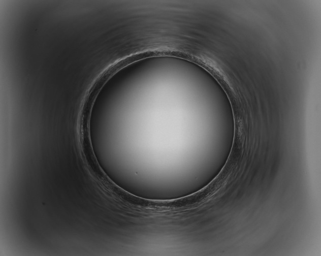 X0000088650676200705250942