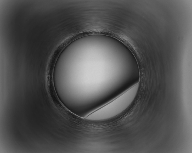 X0000088650680200705250942