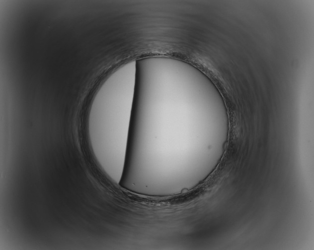 X0000088650683200705250942