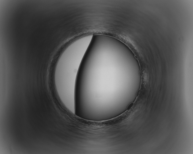 X0000088650684200705250942