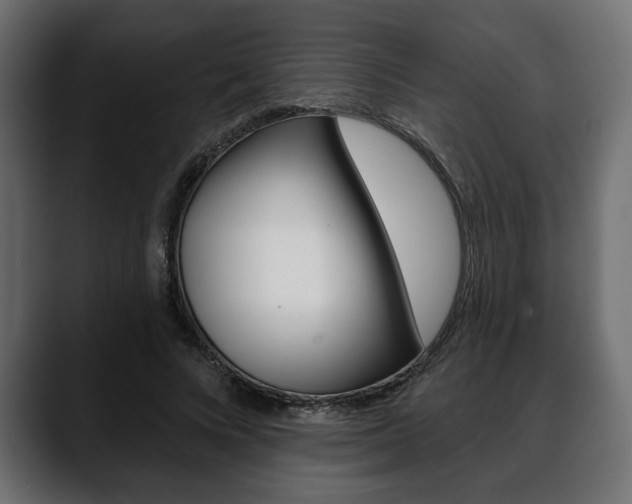 X0000088650688200705250942