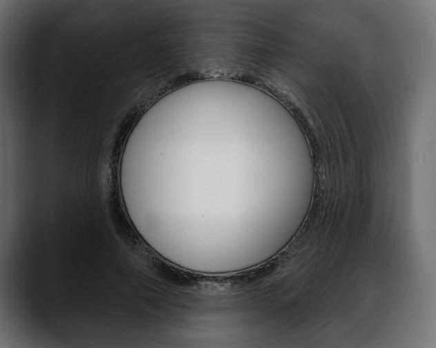 X0000088650690200705250942