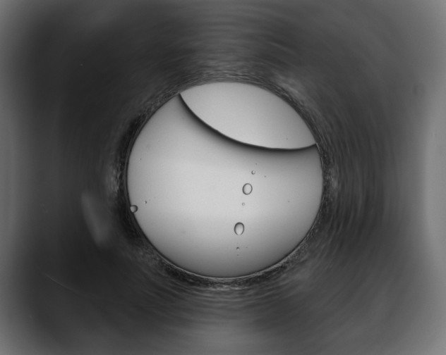 X0000088650691200705250942