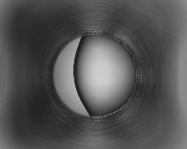 X0000088650692200705250942