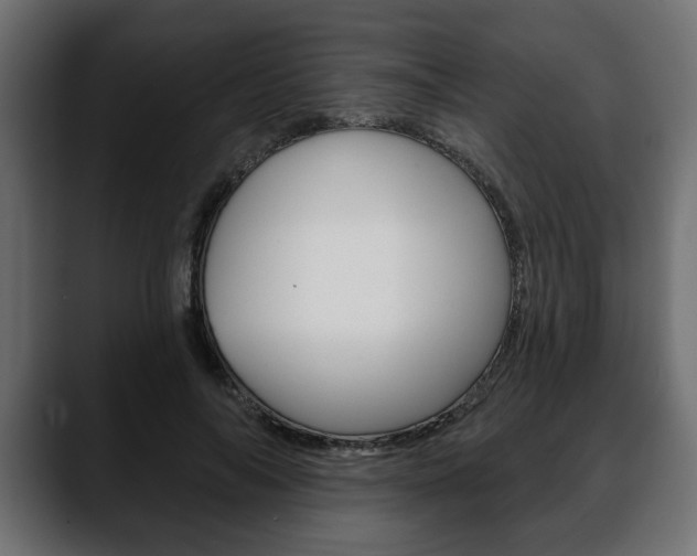 X0000088650694200705250942