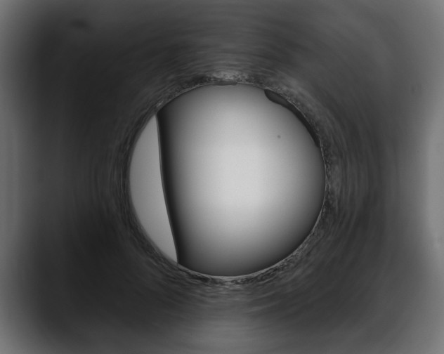 X0000088650696200705250942