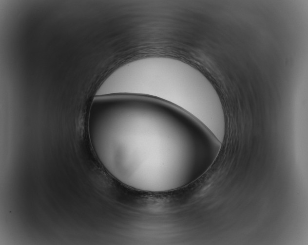 X0000088650697200705250942