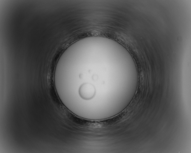 X0000088650698200705250942