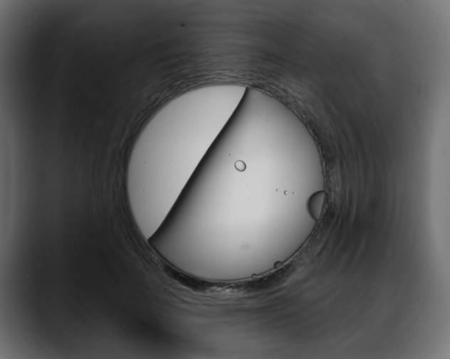 X0000088650699200705250942