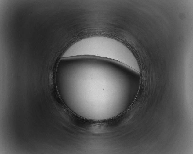 X0000088650700200705250942