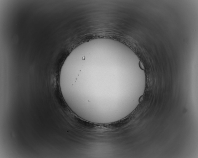 X0000088650703200705250942