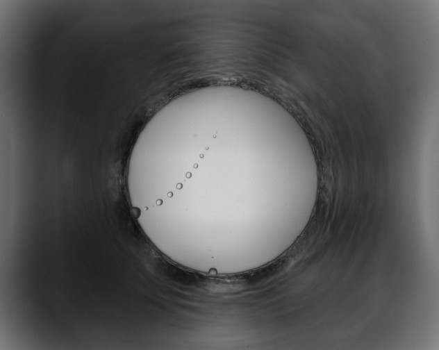 X0000088650707200705250942