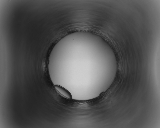 X0000088650715200705250942