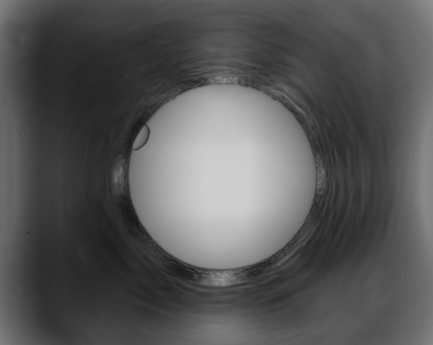X0000088650717200705250942