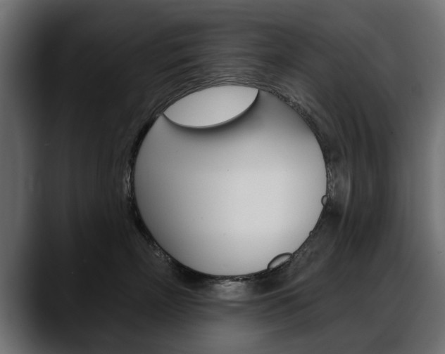 X0000088650718200705250942