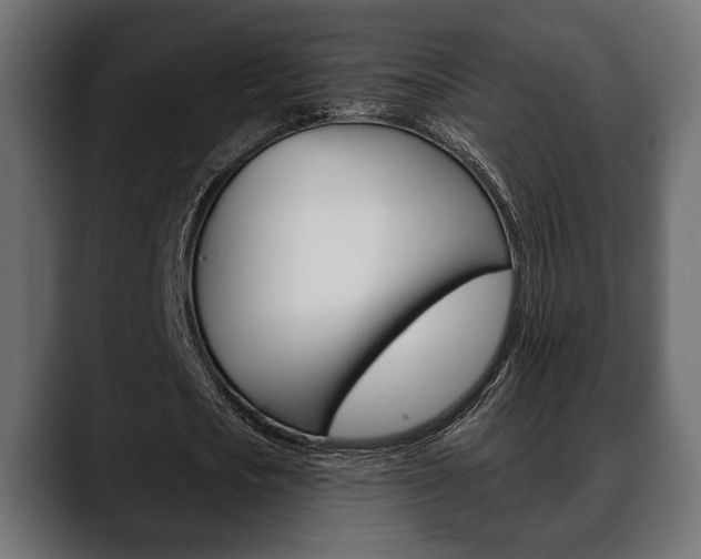 X0000088650721200705250941