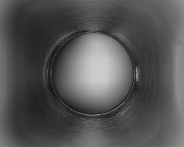 X0000088650723200705250941