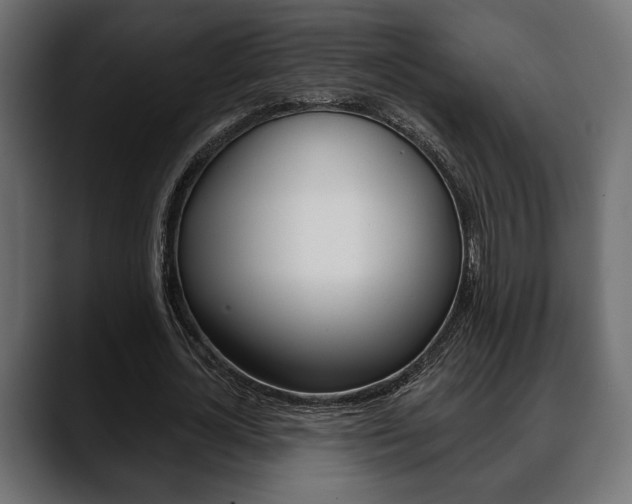 X0000088650724200705250941